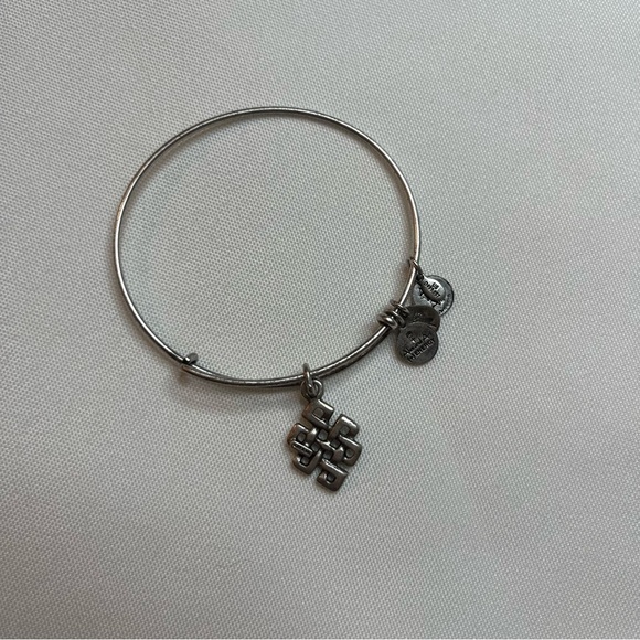 Alex And Ani Endless Knot Charm Antique Silver Finish Bangle Bracelet One Size - Picture 9 of 16